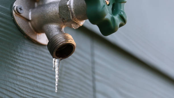 Best Shower Repair Services  in Deming, NM